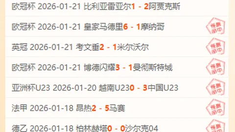 江苏泰兴举办风筝文化交流活动